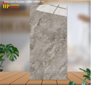 GẠCH LÁT NỀN 60X120 VÂN ĐÁ MARBLE 12016