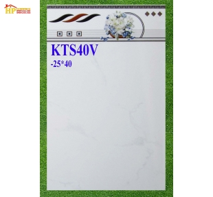 GẠCH ỐP TUONGFW25X49 TRẮNG VÂN KHÓI 40