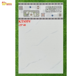 GẠCH ỐP TƯỜNG 25X40 TRẮNG VÂN KHÓI 55