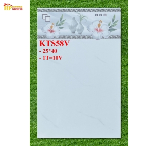 GẠCH ỐP TƯỜNG 25X40 TRẮNG VÂN KHÓI 58
