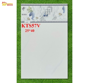 GẠCH ỐP TƯỜNG 25X40 TRẮNG VÂN KHÓI 57