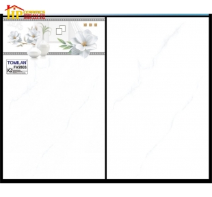 GẠCH ỐP TƯỜNG 25X40 TRẮNG VÂN KHÓI BÔNG TRẮNG GIÁ RẺ 2803