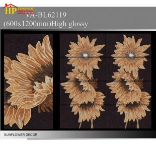 GẠCH LÁT NỀN 60X120 ĐIỂM BÔNG CÚC ĐA SẮC 62119