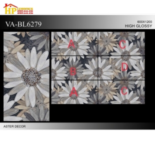 GẠCH LÁT NỀN 60X120 ĐIỂM BÔNG 6279