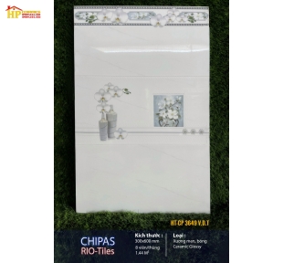 GẠCH ỐP TƯỜNG 30X60 TRẮNG VÂN KHÓI ĐIỂM BÔNG TRẮNG 3649