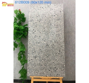 GẠCH LÁT NỀN 60X120 ĐÁ MÀI TERRAZZO 009