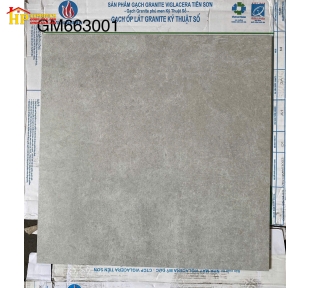 GẠCH LÁT NỀN 60X60 VÂN ĐÁ XÁM ĐẬM 3001 CAO CẤP GIÁ RẺ