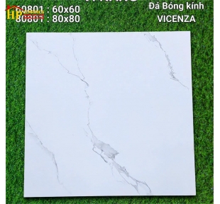 GẠCH LÁT NỀN 60X60 TRẮNG VÂN KHÓI 60801