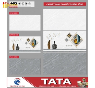 GẠCH ỐP TƯỜNG 30X60 VÂN ĐÁ XÁM ĐẬM LỢT ĐIỂM BA BÌNH BÔNG 36125 CAO CẤP GIÁ RẺ