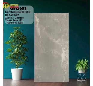 GẠCH LÁT NỀN 60X120 VÂN ĐÁ XÁM MATT 12603 CAO CẤP GIÁ RẺ