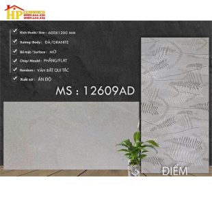 GẠCH LÁT NỀN 60X120 VÂN ĐÁ XÉO MATT 12609 CAO CẤP GIÁ RẺ