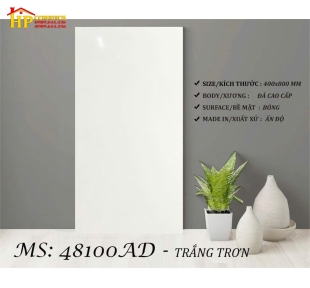 GẠCH ỐP TƯỜNG 40X80 TRẮNG TRƠN 48100 CAO CẤP GIÁ RẺ