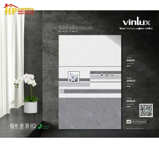 GẠCH ỐP TƯỜNG 30X60 VÂN ĐÁ XI MĂNG MỜ ĐẬM LỢT ĐIỂM SỌC GHÉP BÔNG 26821 CAO CẤP GIÁ RẺ