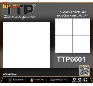 GẠCH LÁT NỀN 60X60 SẮC MÀU TRẮNG TRƠN CAO CẤP GIÁ RẺ