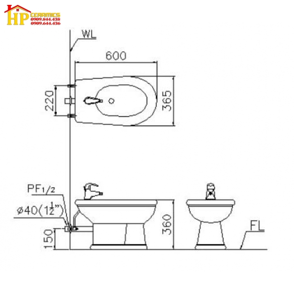 TIỂU NỮ CAESAR B1031 CHÍNH HÃNG
