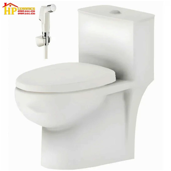 BÀN CẦU KHỐI VIGLACERA V819 CHÍNH HÃNG