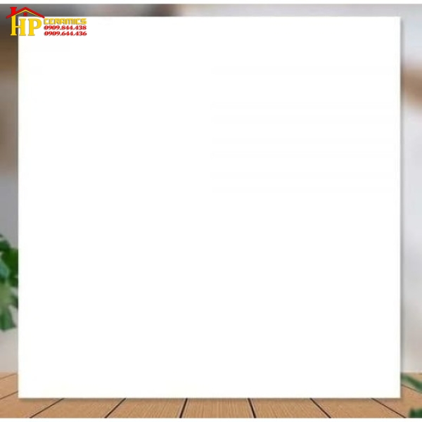 GẠCH LÁT NỀN 100X100 TRẮNG TRƠN CAO CẤP GIÁ RẺ