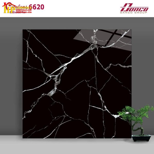 Gạch Ốp Lát 60x60 Catalan Đen Vân Trắng 