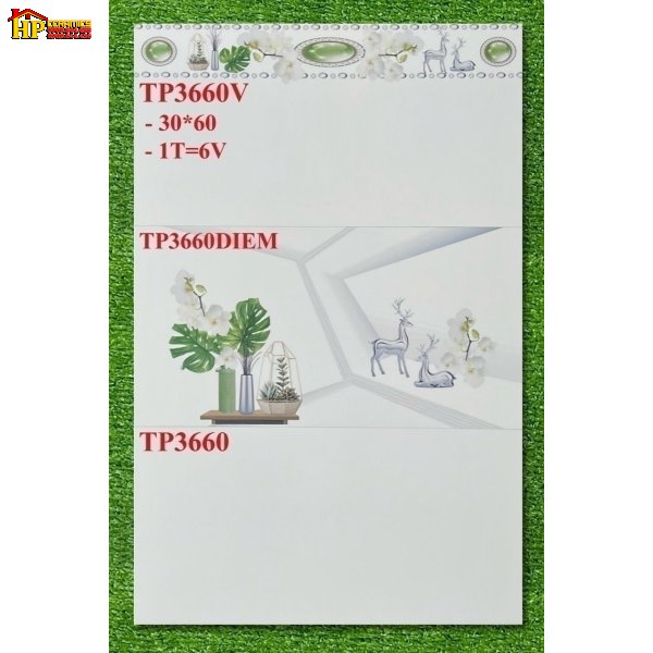 GẠCH ỐP TƯỜNG 30X60 TRẮNG TRƠN ĐIỂM NAI BẠC CAO CẤP GIÁ RẺ