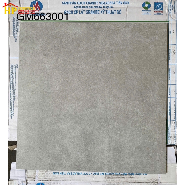GẠCH LÁT NỀN 60X60 VÂN ĐÁ XÁM ĐẬM 3001 CAO CẤP GIÁ RẺ