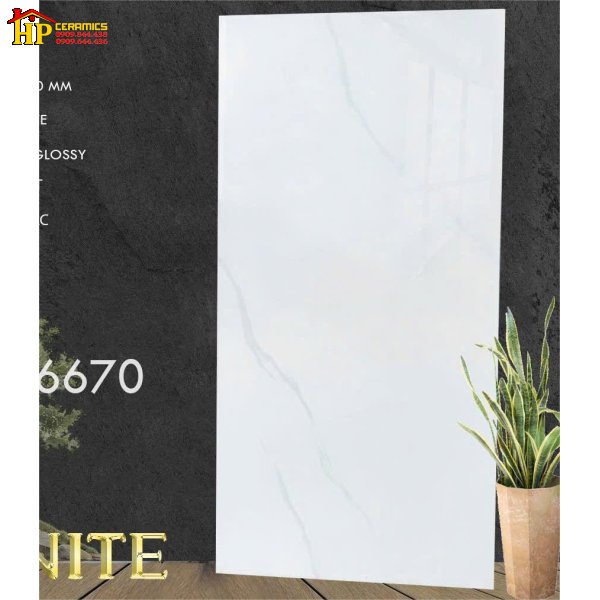 GẠCH LÁT NỀN 60X120 TRẮNG VÂN KHÓI 126670 CAO CẤP GIÁ RẺ
